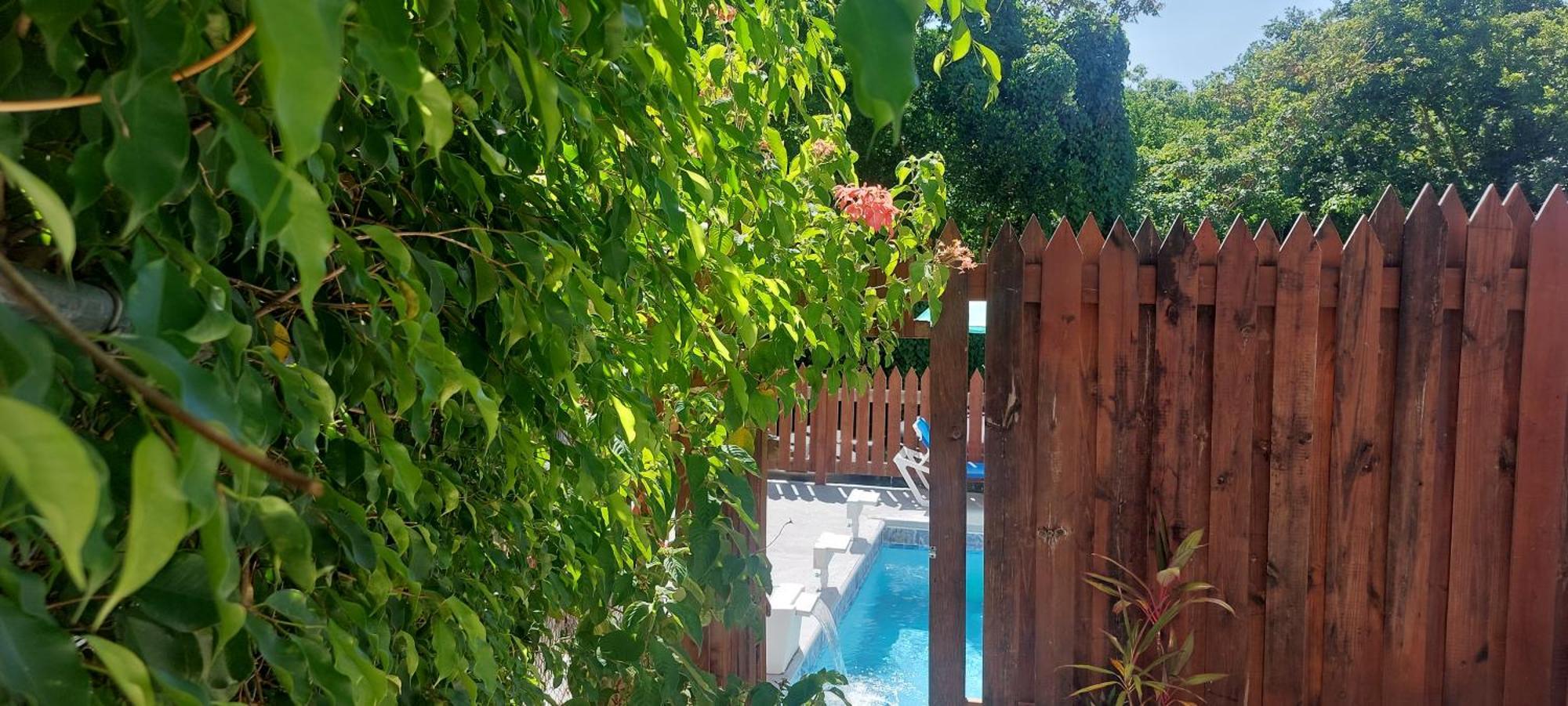 Apartment Joanna Rodney Bay Dış mekan fotoğraf