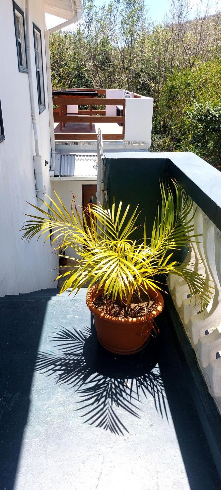 Apartment Joanna Rodney Bay Oda fotoğraf